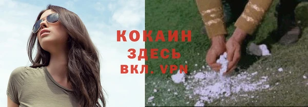 спайс Арсеньев