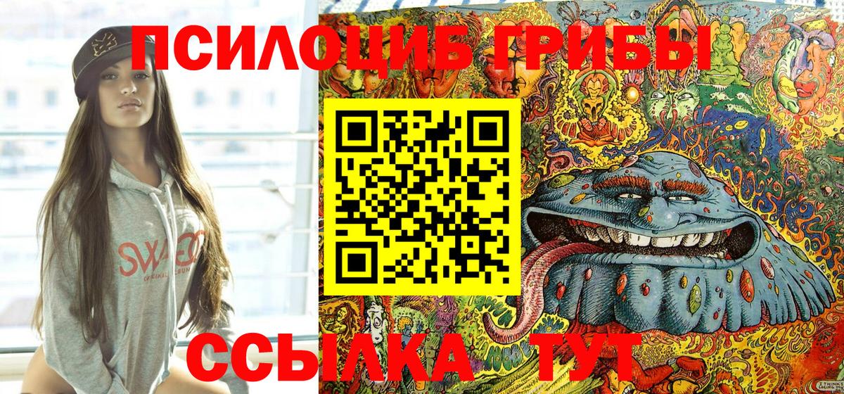 Улан-Удэ  Галлюциногенные грибы Cubensis  купить наркотик  Вход с VPN 