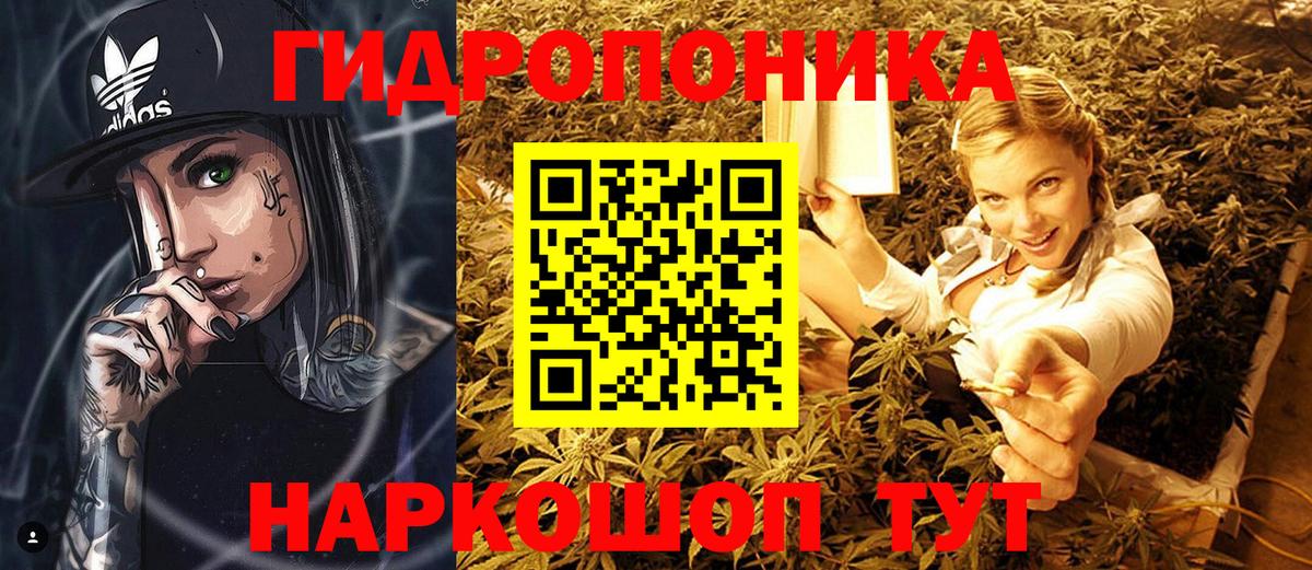 МАРИХУАНА сатива Улан-Удэ